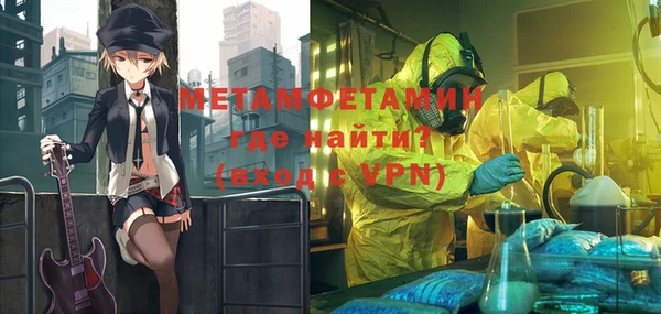 мет Алексин