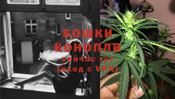 прущие грибы Арсеньев