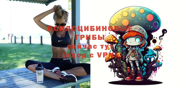 ПСИЛОЦИБИНОВЫЕ ГРИБЫ Абаза