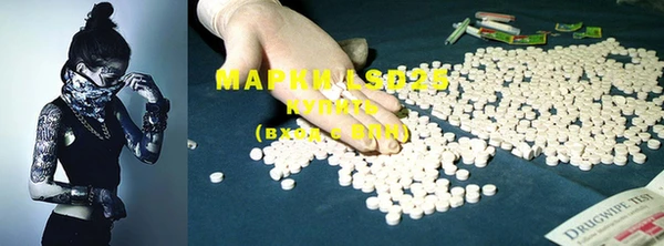 PSILOCYBIN Пестово